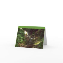 100_0499 Note card--Mountain stream