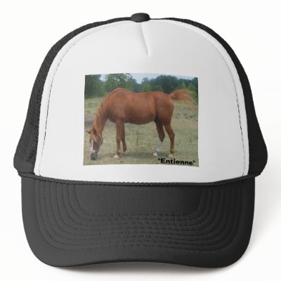 100_0536, "Entienne" Trucker Hats by gretchen460