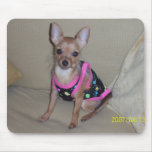 100_0813 MOUSEPADS