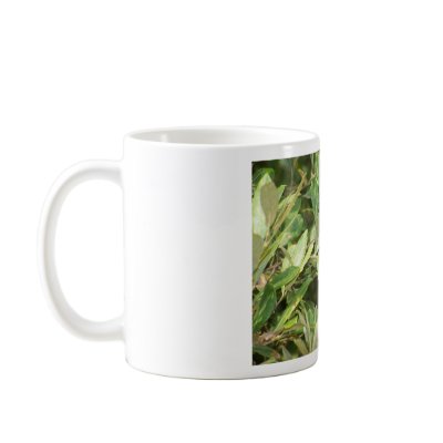 100_0918 COFFEE MUG by GeorginaBass