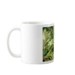 100_0918 mugs