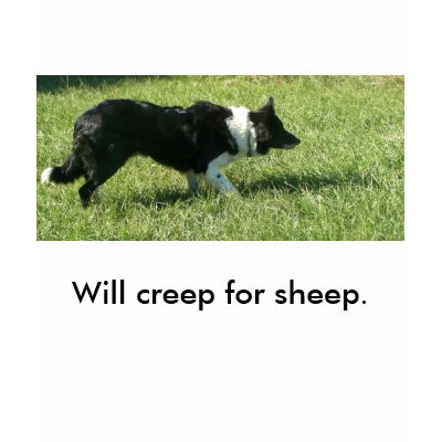 100_1369, Will creep for sheep. Tee Shirts by gforcetrish