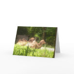 100_1373 - Camel Note Card