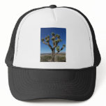 100_7355 TRUCKER HATS