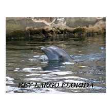 100_8578, KEY LARGO FLORIDA POST CARD