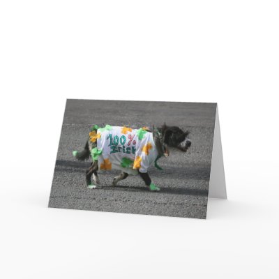 100% Irish Greeting Card by martinspaperstore