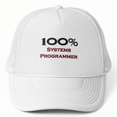 100 Percent Systems Programmer by professions