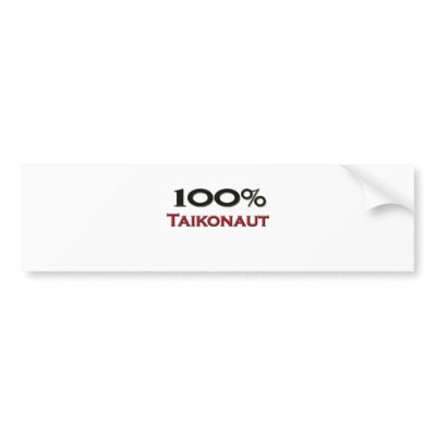 100 Percent Taikonaut by professions