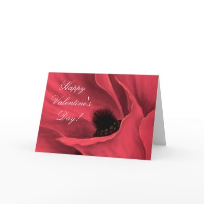 100COLOROFJOY, Happy Valentine's Day! by JUDERM