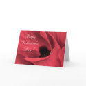 100COLOROFJOY, Happy Valentine's Day! cards