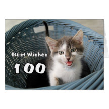 100th Birthday Crazy Kitten Greeting Cards