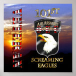 101st Air Assault Division OEF Veteran Posters