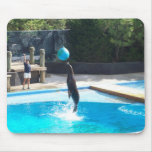 104_3686 - Seal Jumping - Mousepad