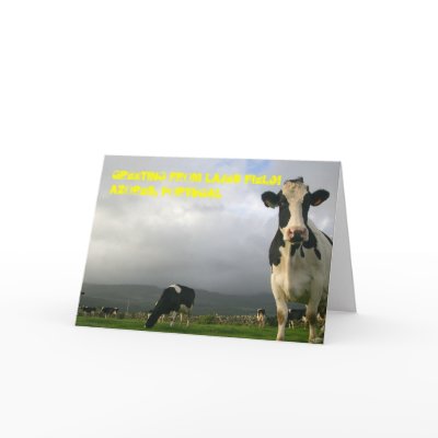 10,000 Cows Can't be Wrong Greeting Card by james_orear2