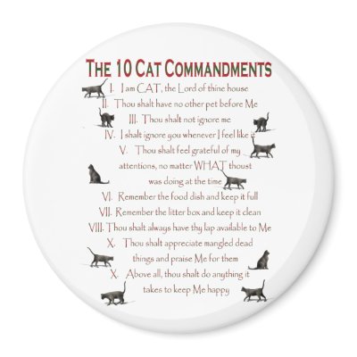 10 CAT Commandments by CrazyCatLadies