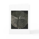 10_ladyincoolspiralcircledress1 card