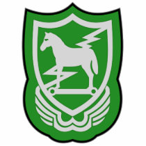 10th SFG-A 1