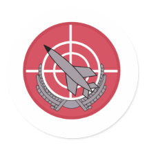 117 Squadron Round Sticker
