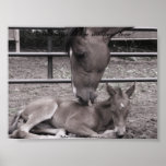 118, RobersonQuarterHorses.com,  Nothings like ... Poster