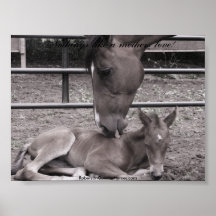 118, RobersonQuarterHorses.com,  Nothings like ... Poster