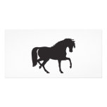 11954399211648903596johnny_automatic_horse picture card