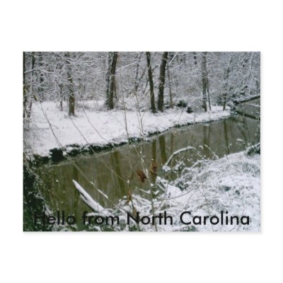 124, Hello from North Carolina Post Card by naomis2008
