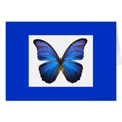 1266748996554817001485509_55730114 GREETING CARD by CreativeColours