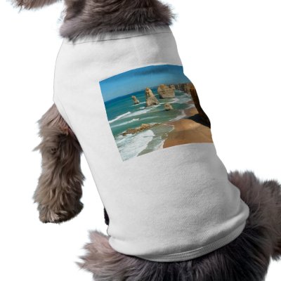 12 apostles dog clothing by VectorGraphics