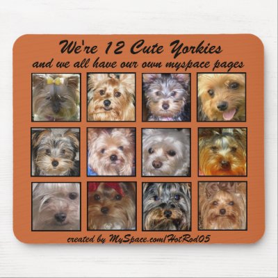 12 CUTE YORKIES  -Mousepad - Customised by CuteYorkies