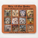 12 CUTE YORKIES  -Mousepad - Customised