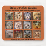 12 CUTE YORKIES  -Mousepad - Customised