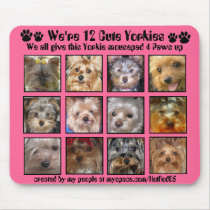 12 CUTE YORKIES -Mousepad Customised - 4 Paws up