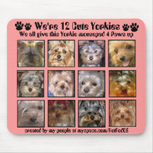 12 CUTE YORKIES -Mousepad Customised - 4 Paws up