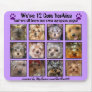 12 CUTE YORKIES  -Mousepad Customized