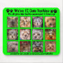 12 CUTE YORKIES -Mousepad Customized - 4 Paws up