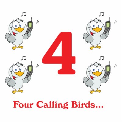 12 days four calling birds photo sculpture by doonidesigns