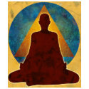 12-Step Buddhist Women's Tank Top t-shirts