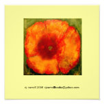12 x 12 Poppy Painting Photo-Print III