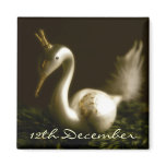 12th December • Swan • Magnet