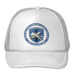 138th Avn Co - Crazy Cat Hats