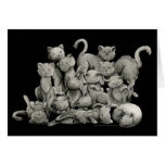 13 Black Cats Lucky Card