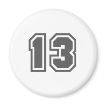 13 REFRIGERATOR MAGNET