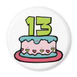13 Year Old Birthday Cake Fridge Magnets