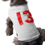 13th Birthday Gifts pet clothing