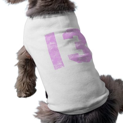 13th Birthday Presents Doggie Shirt by birthday_gifts