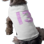 13th Birthday Presents pet clothing
