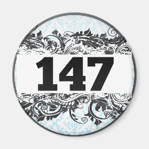 147 MAGNETS