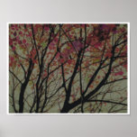 $14.95 Autumn in Colours ~ Print