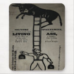 $14.95 Balancing a Living Ass ~ Mousepad