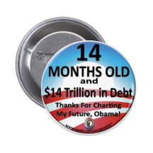 $14 Month Old Debt Pins